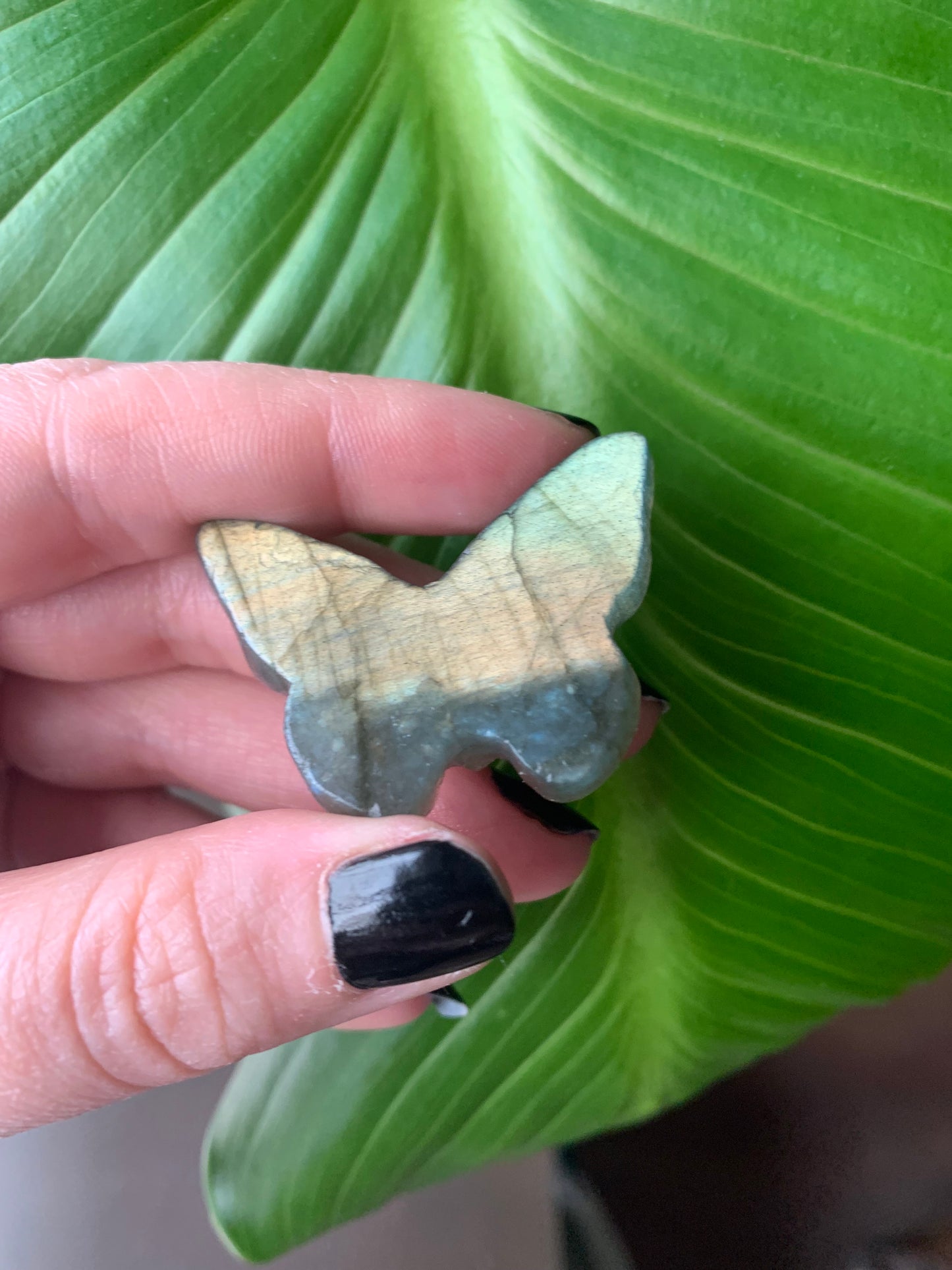 Labradorite Butterfly Skull 3