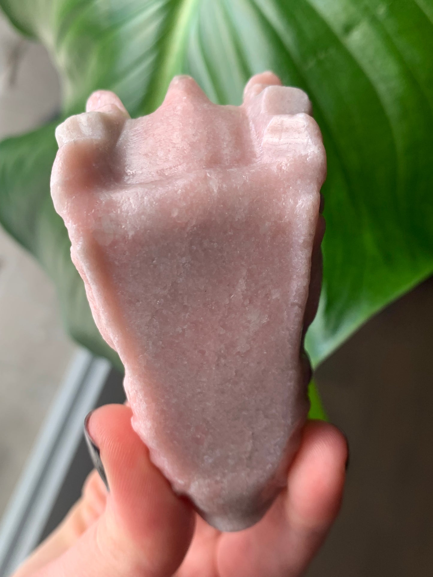 Cráneo de dragón de ópalo rosa