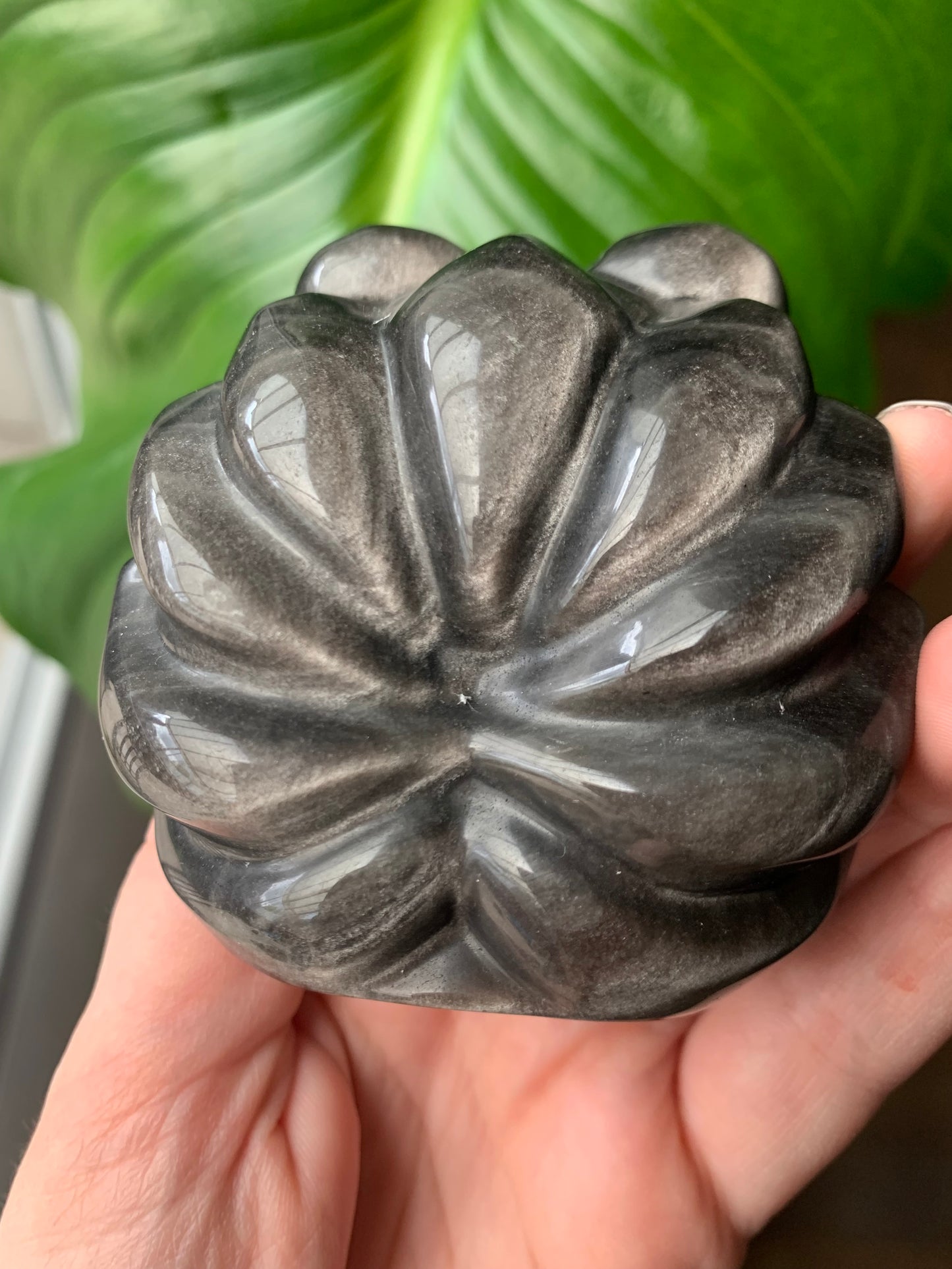 Renard à neuf queues obsidienne argentée