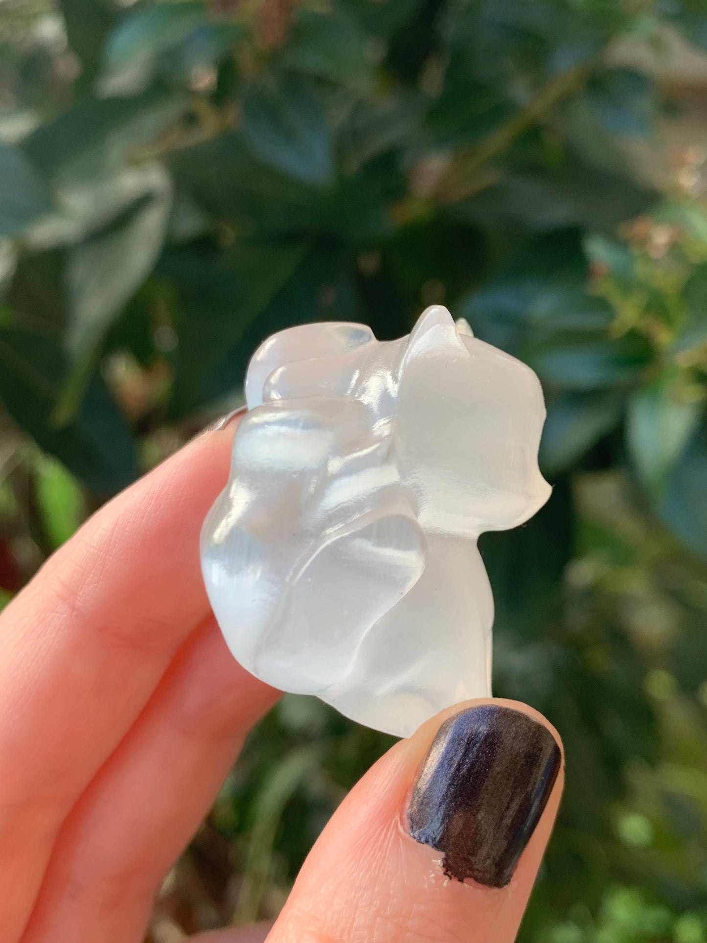 Zorro de nueve colas selenita