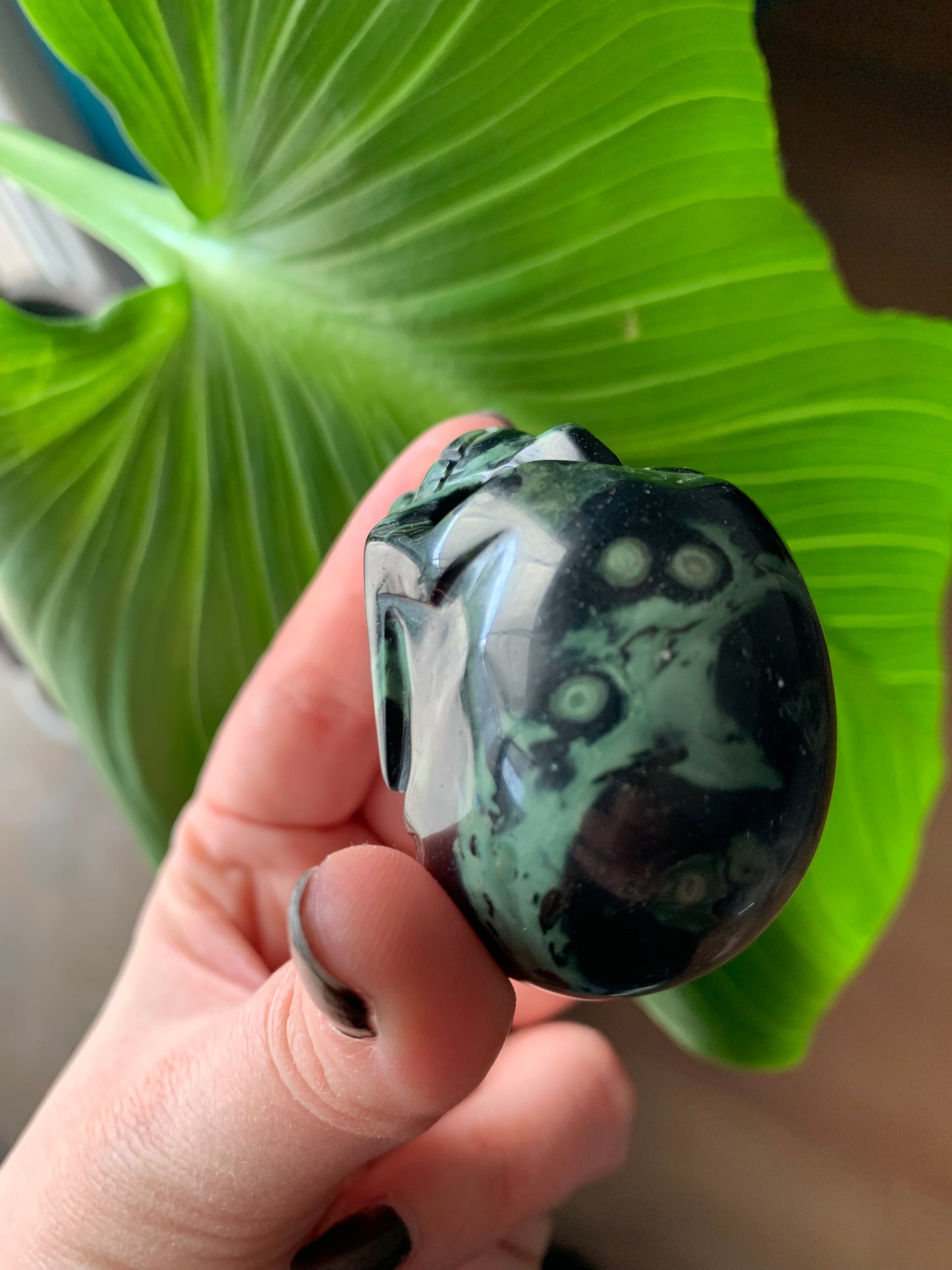 Kambaba Jasper Skull