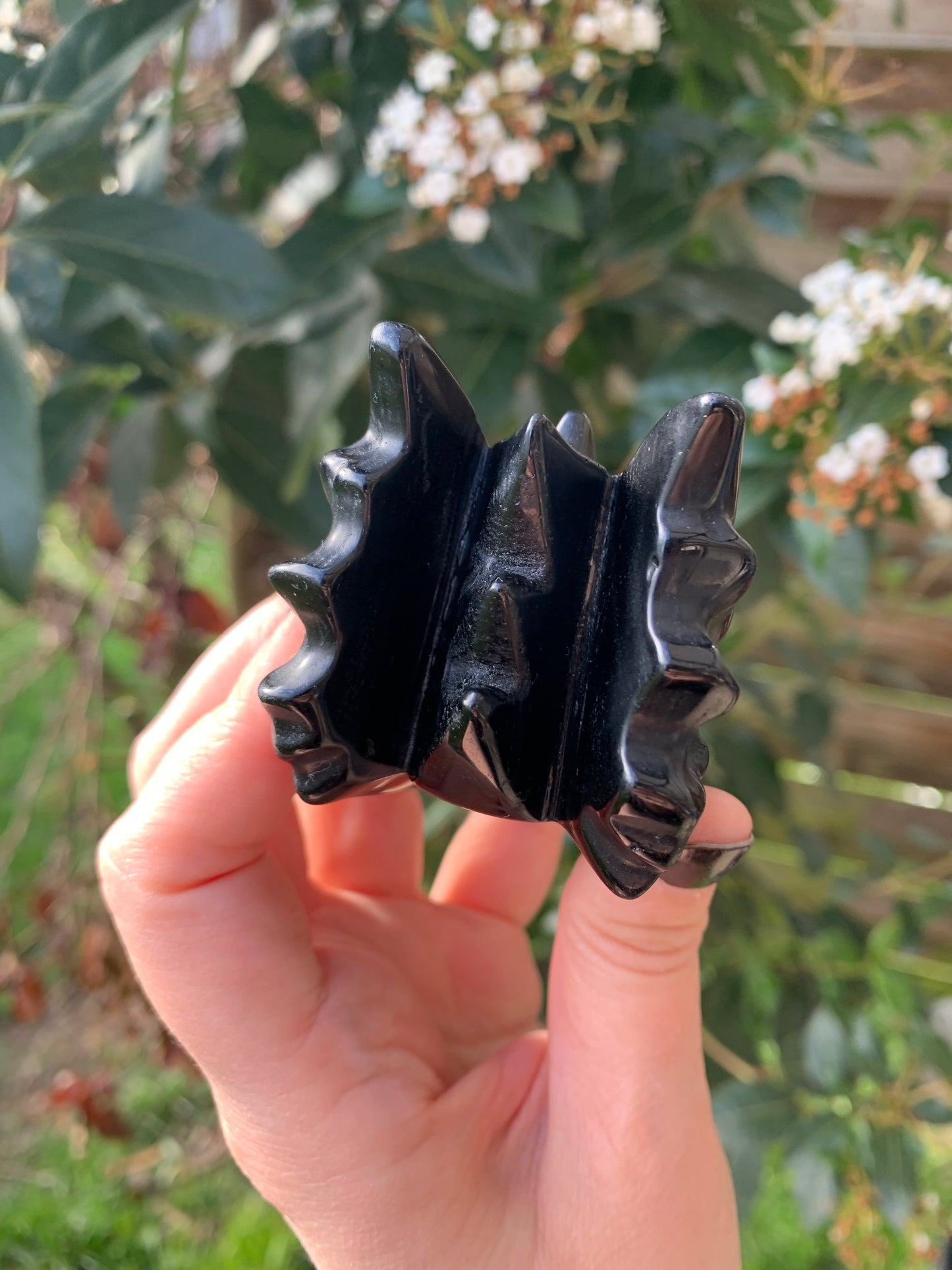 Obsidian Dragon Skull