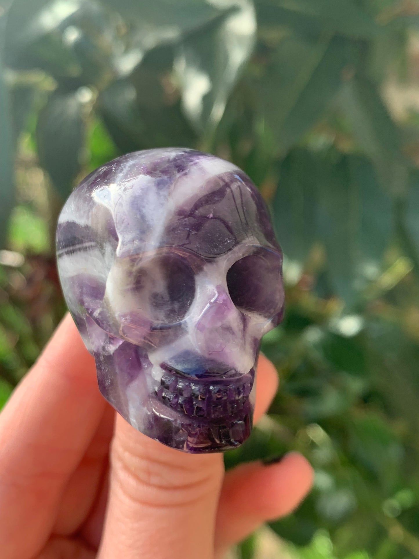 Cráneo de amatista Chevron