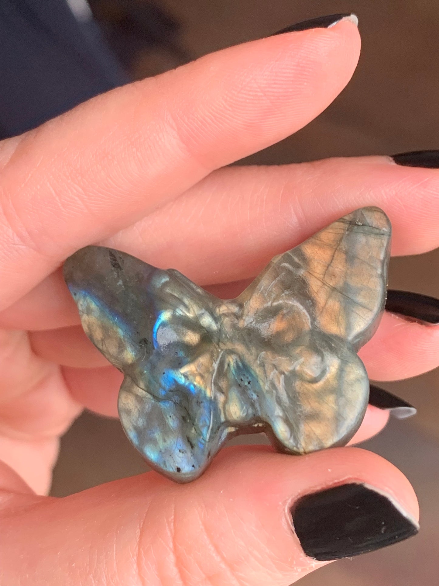 Labradorite Butterfly Skull 2