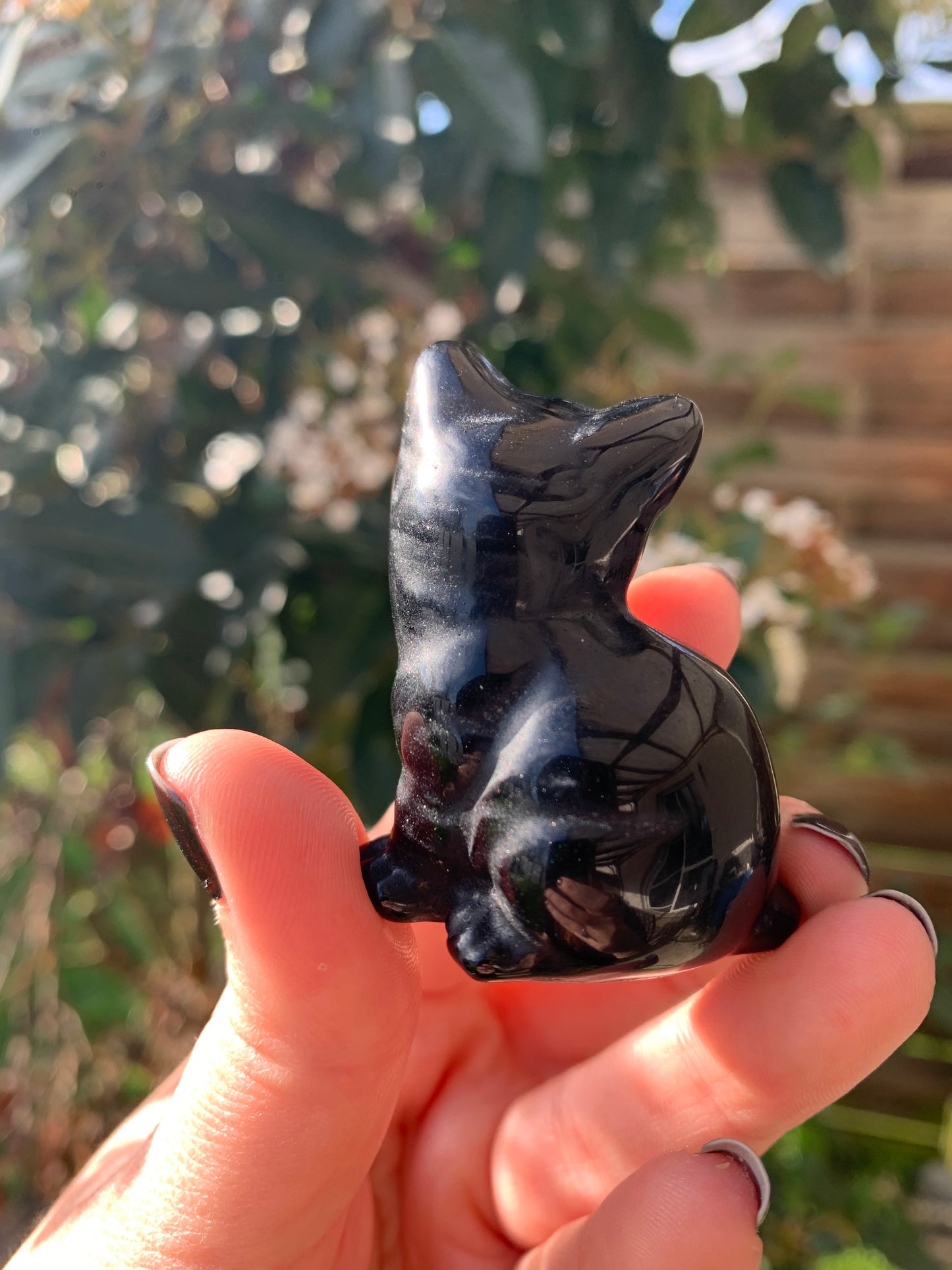 Obsidian Cat