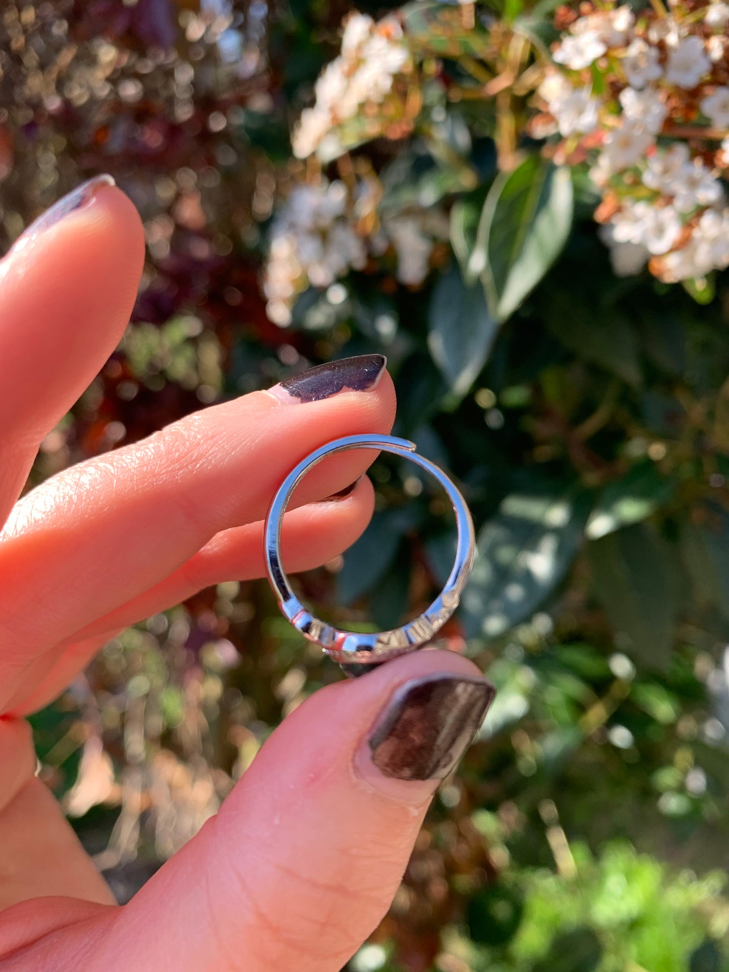 Anillo de serafinita