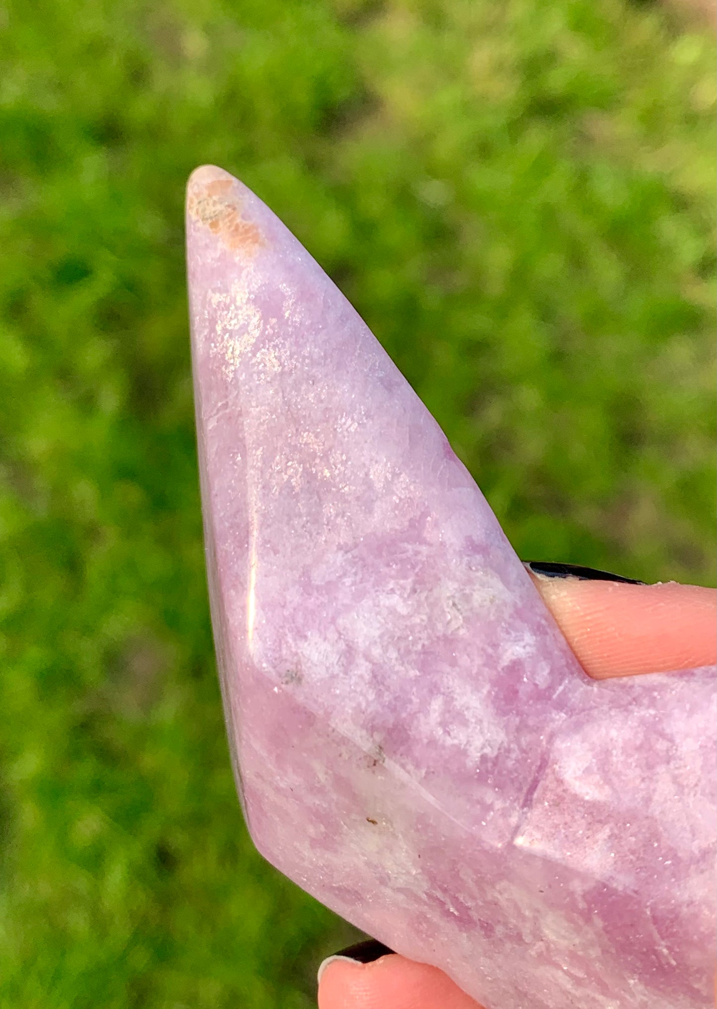 Mariposa lepidolita 1