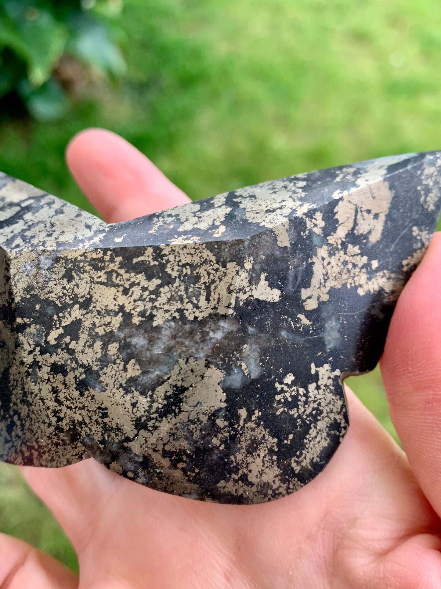 Mariposa de pirita 1