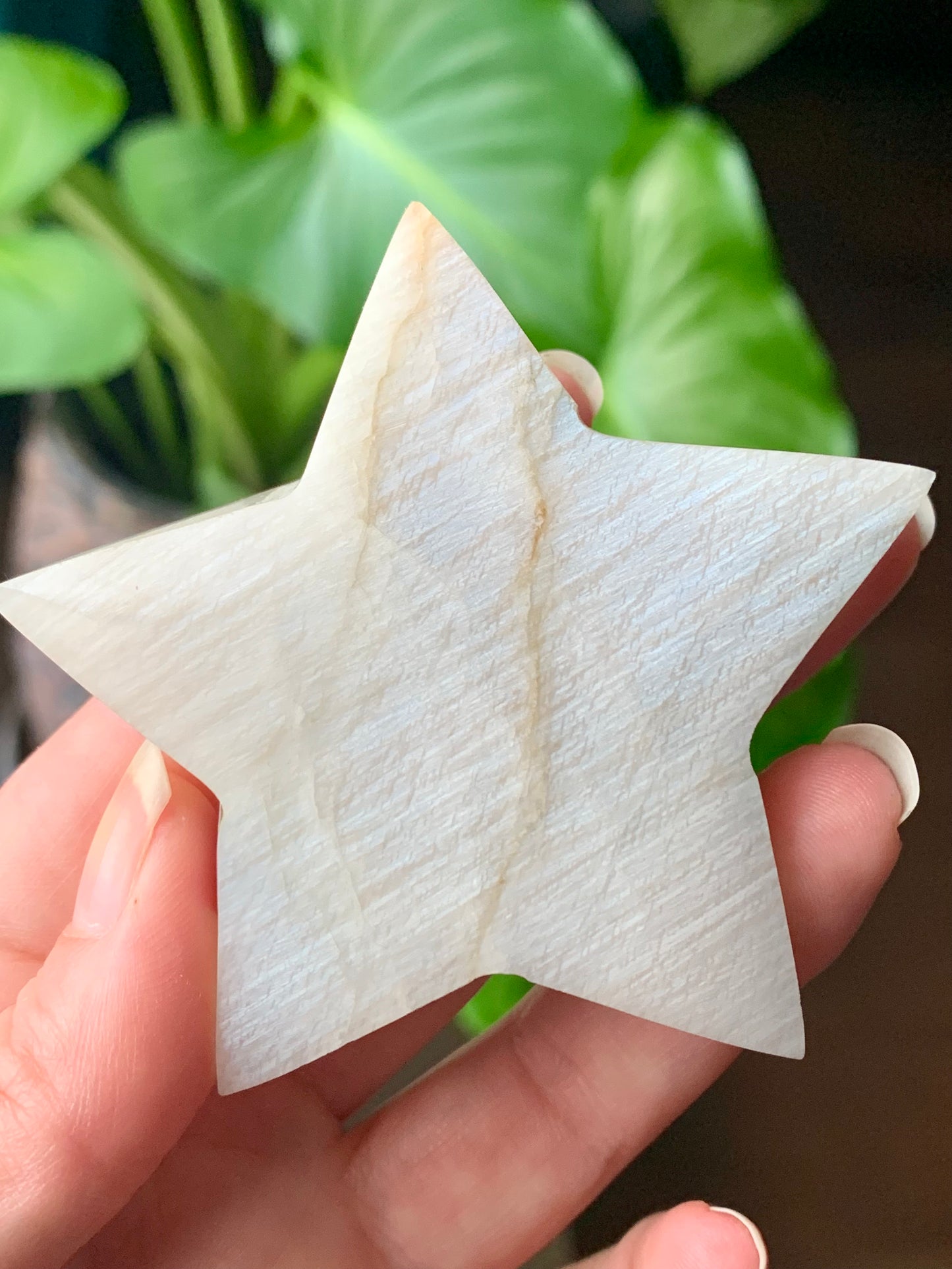 Estrella de piedra lunar