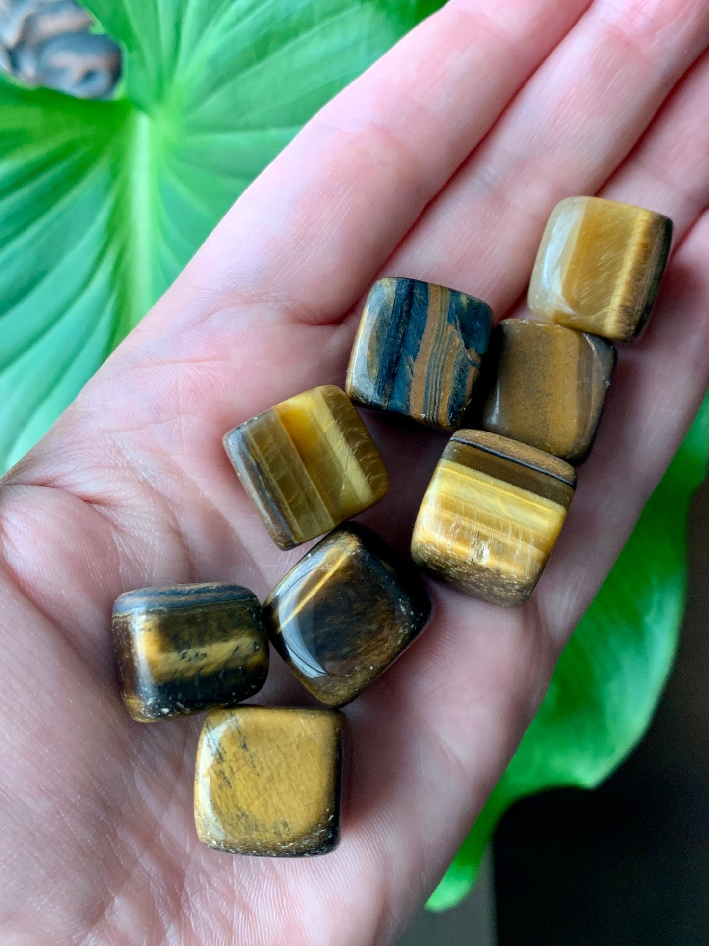 Cubo de ojo de tigre