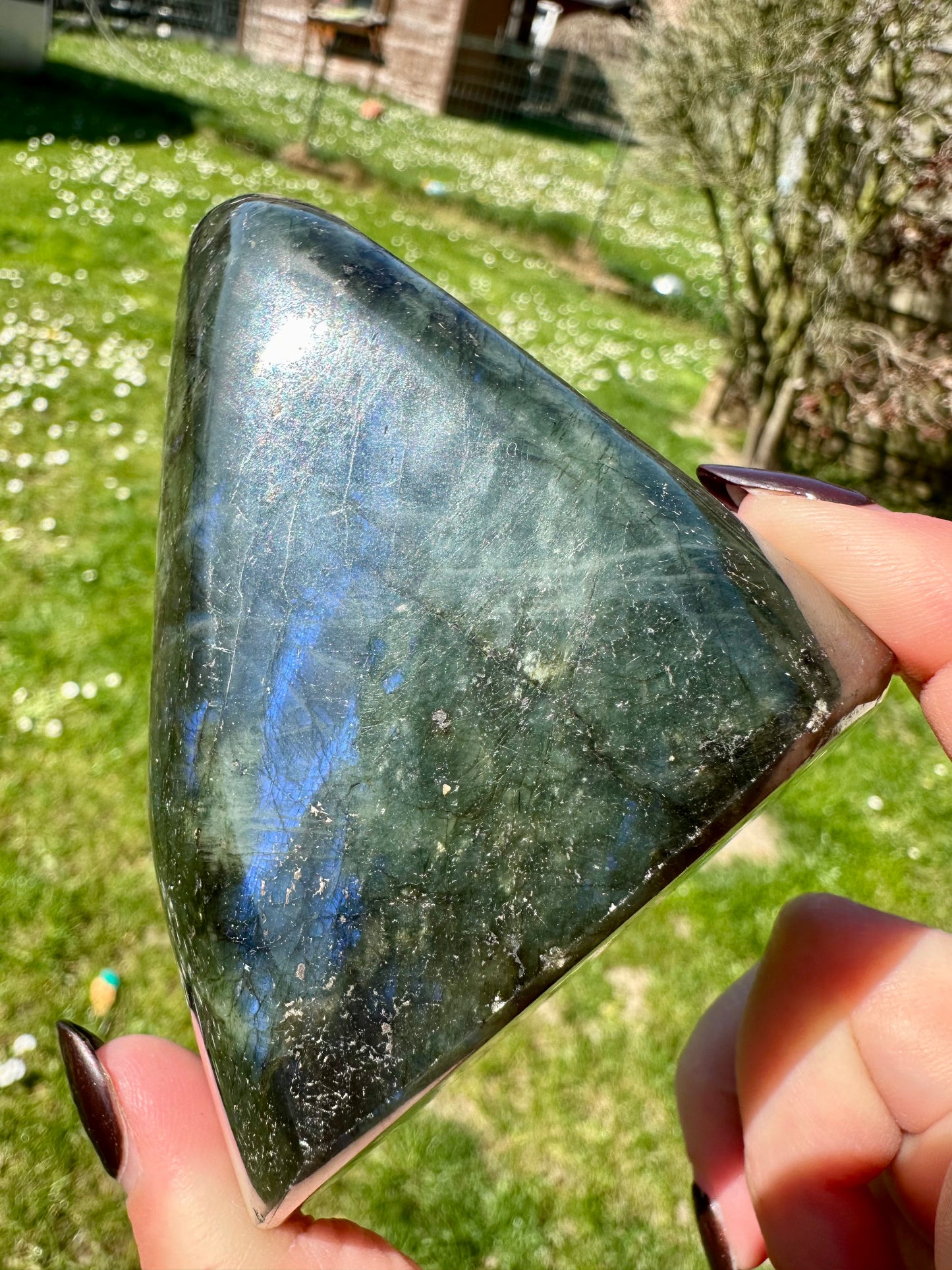Labradorite