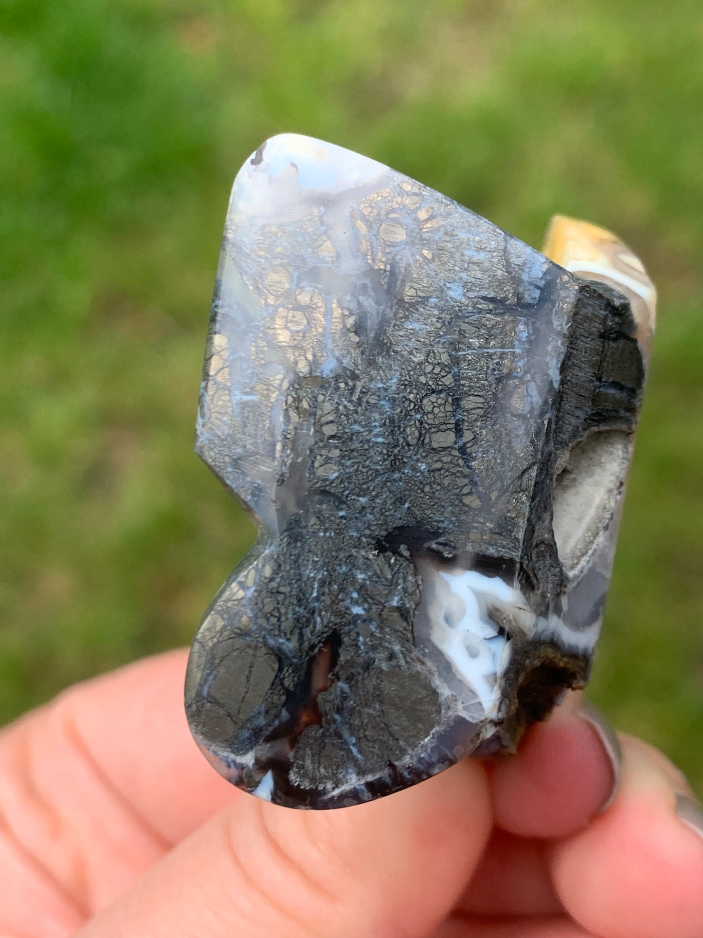 Mariposa de ágata de marcasita