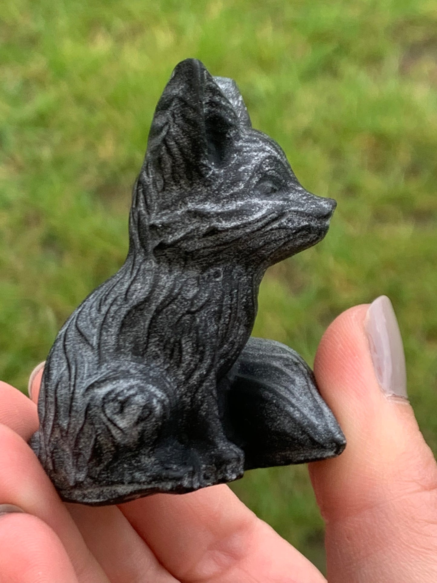 Zorro de obsidiana negra