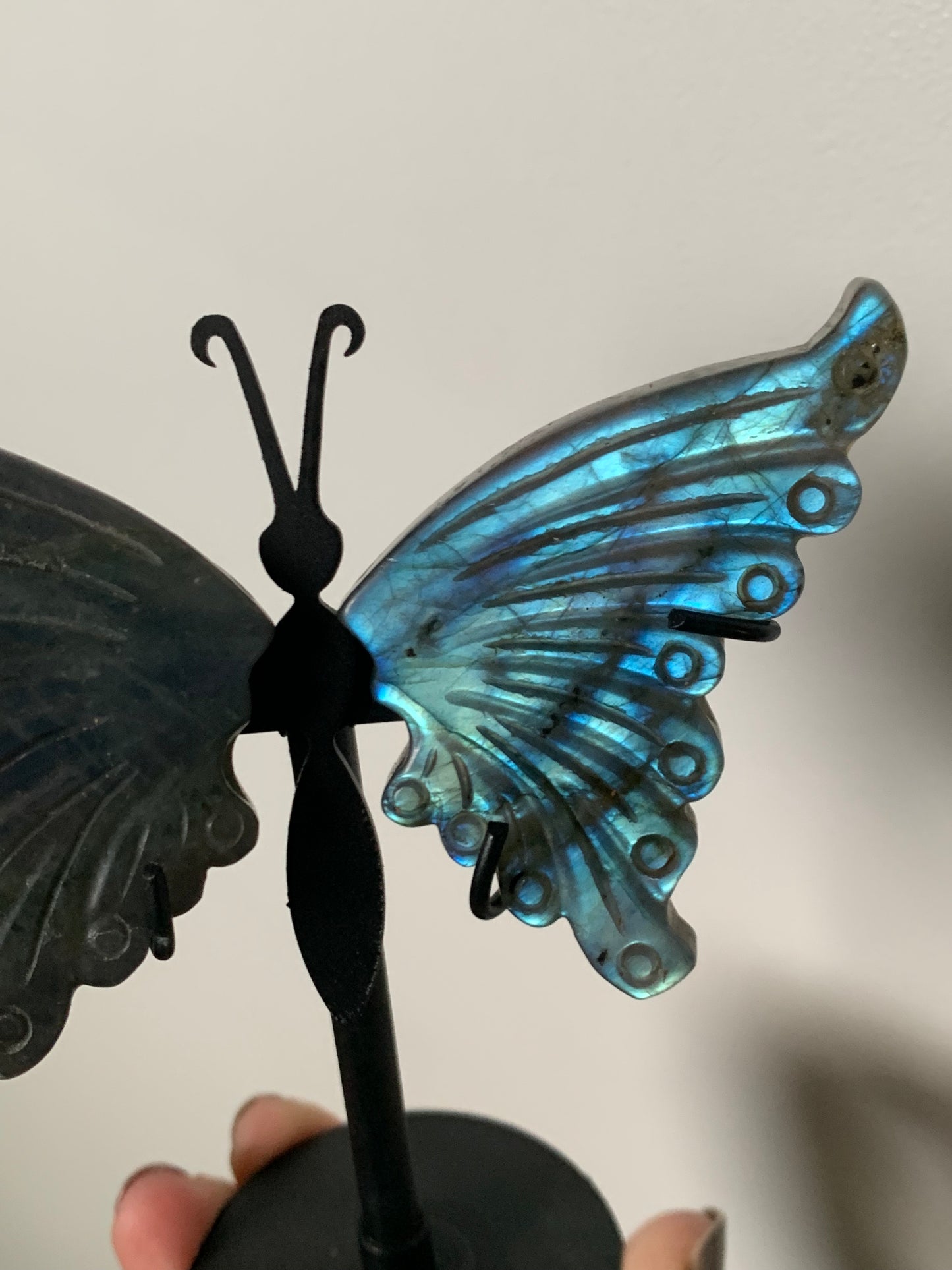 Base de labradorita en forma de mariposa