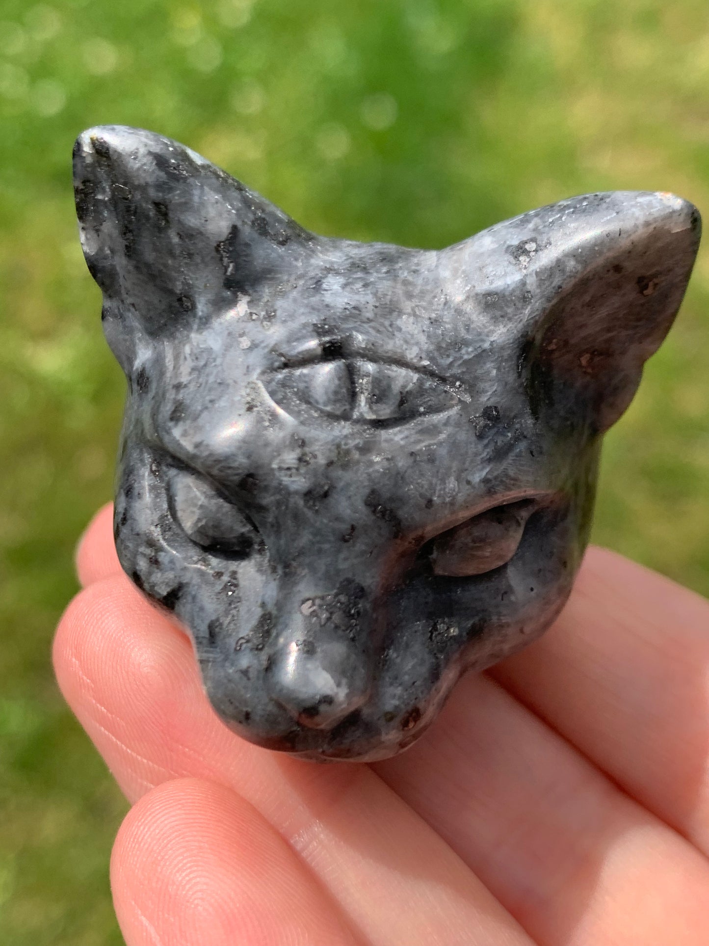 Gato místico larvikita