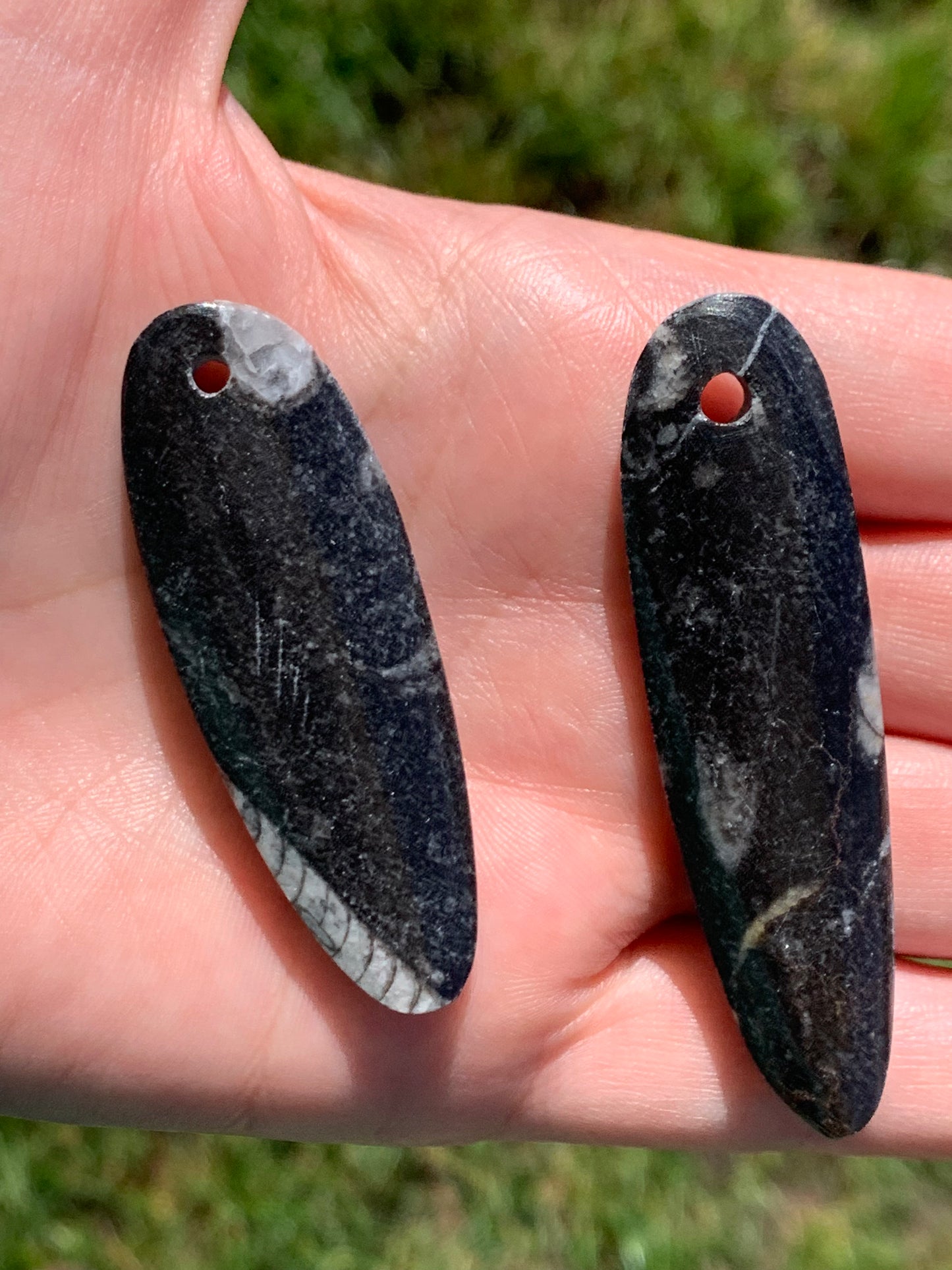 Pierced Orthoceras Pendant