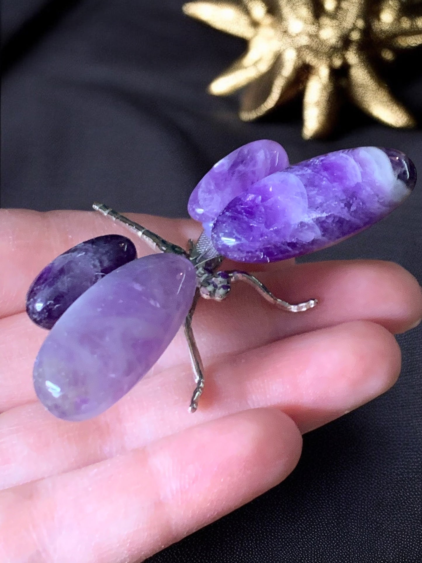 Amethyst dragonfly