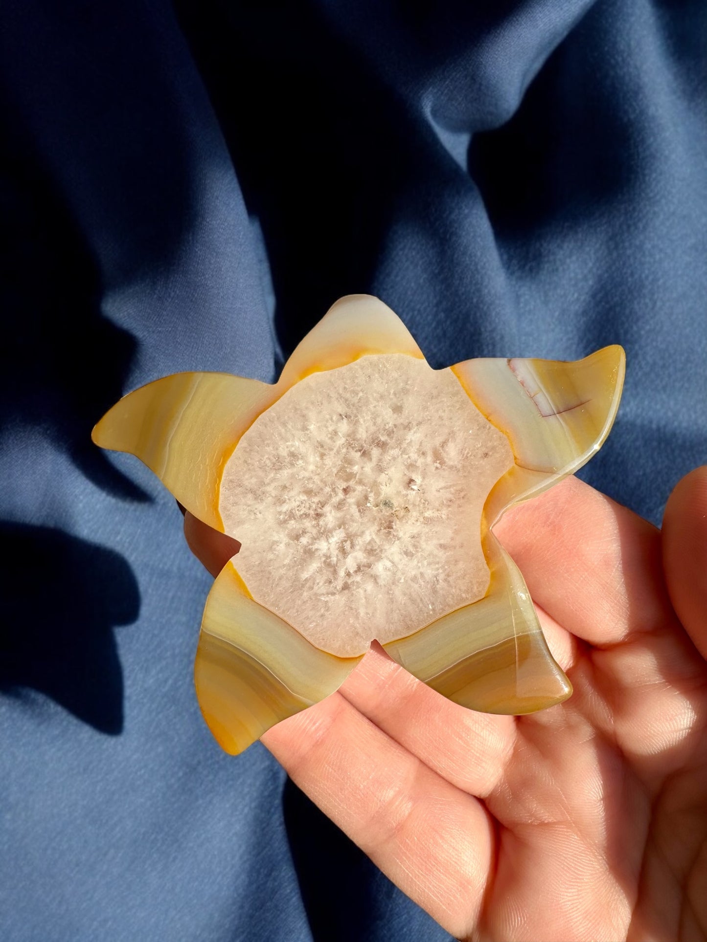 Étoile de mer agate