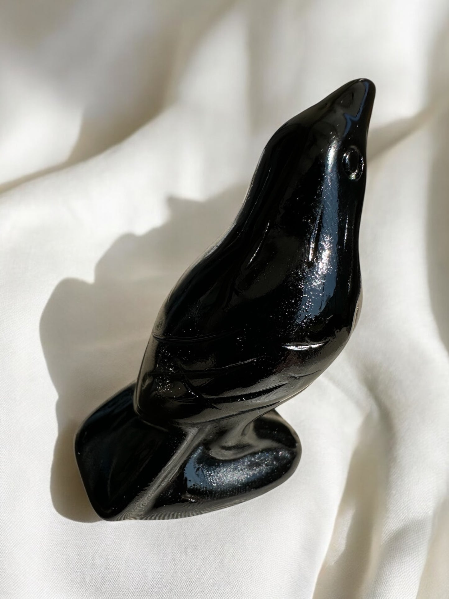 Corbeau obsidienne noire