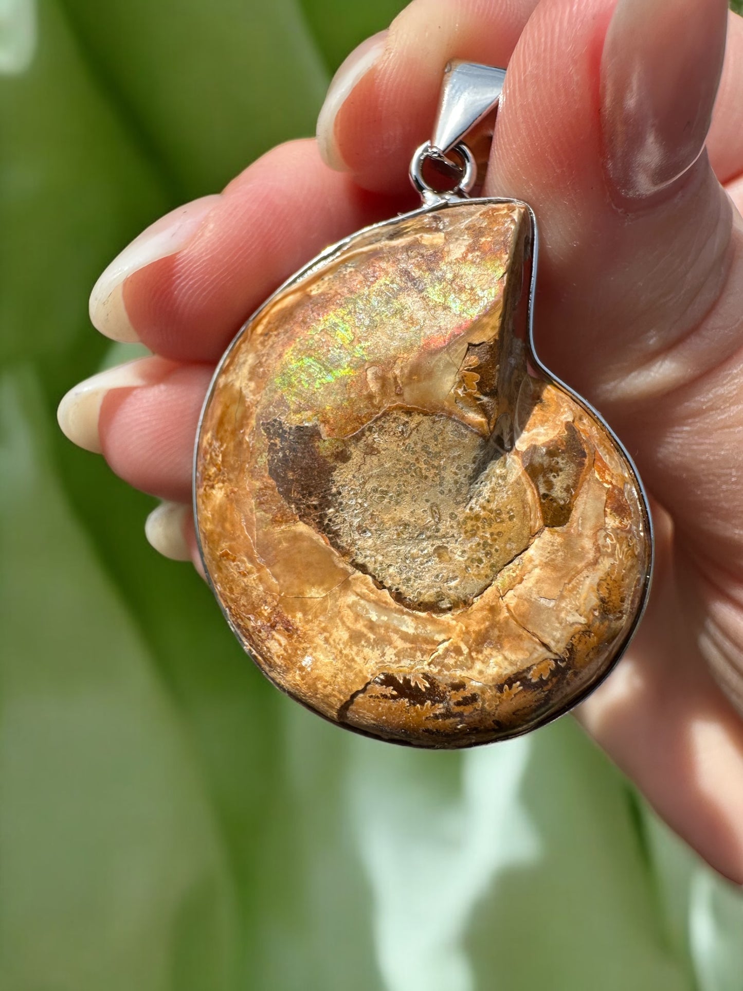 Pendentif ammonite 43