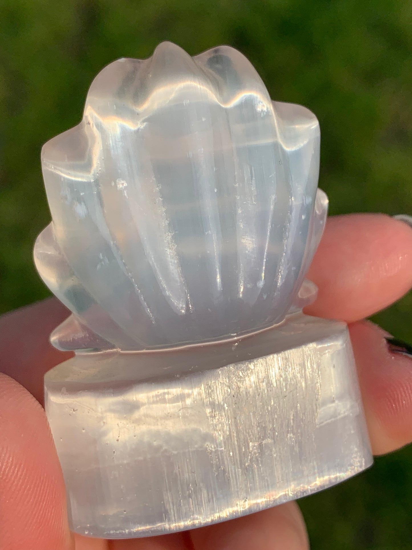 Pequeño zorro selenita