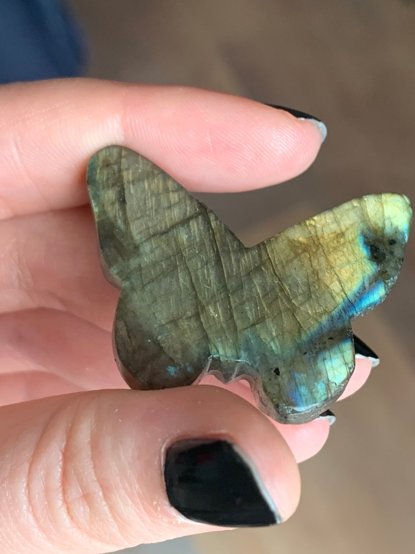 Crâne papillon labradorite 1