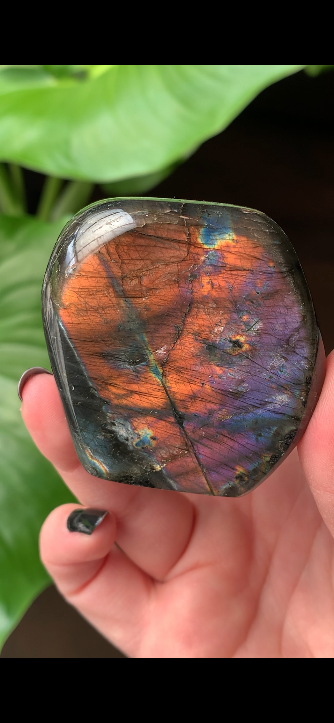 Labradorite