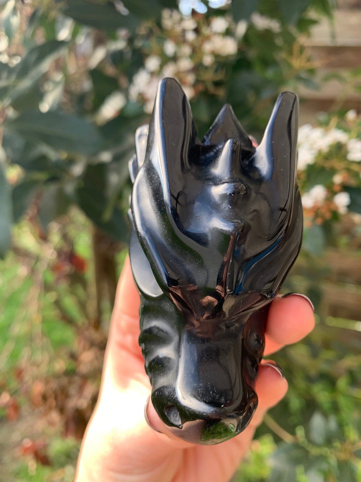 Crâne de dragon en obsidienne