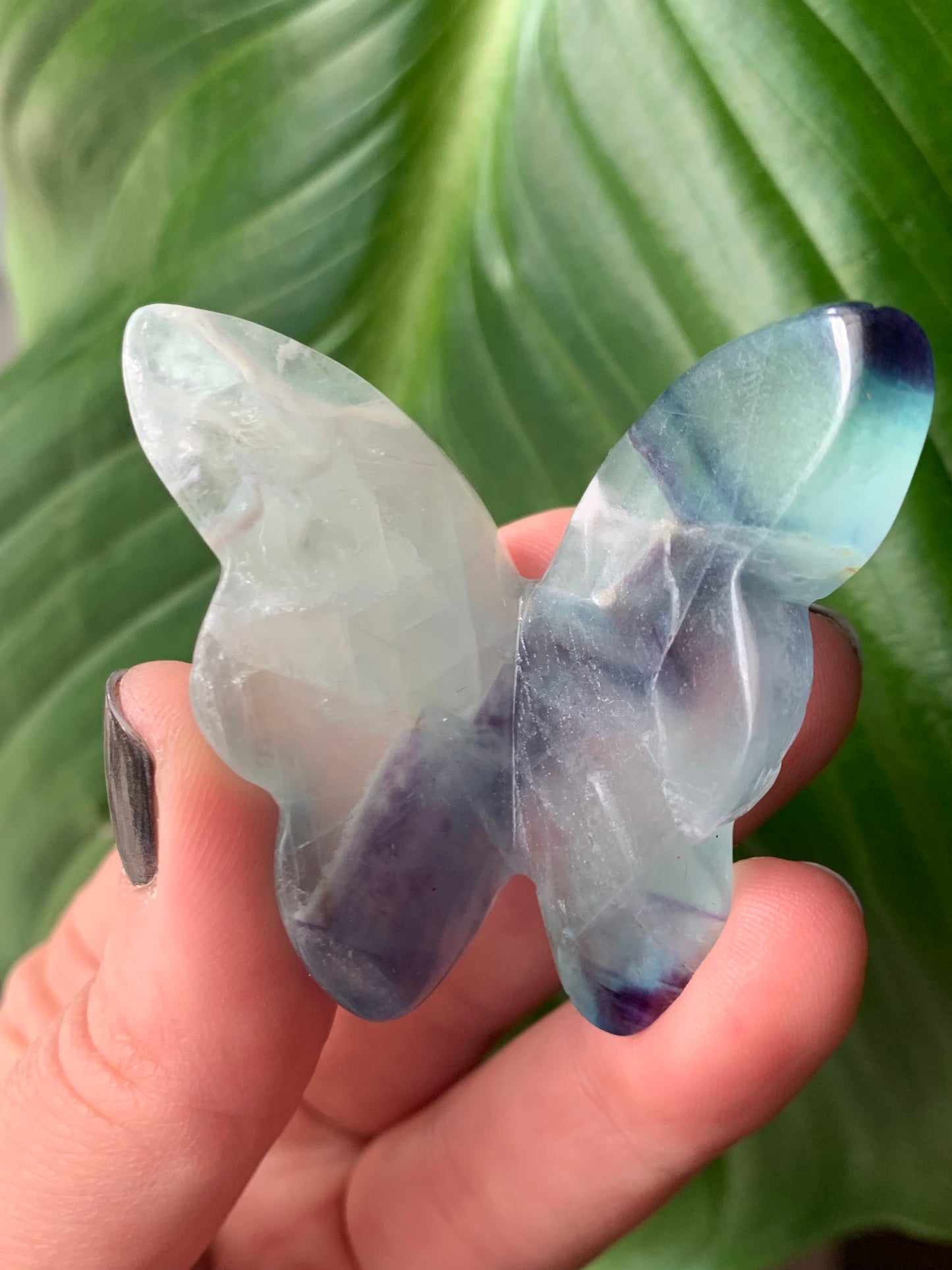 Papillon fluorite