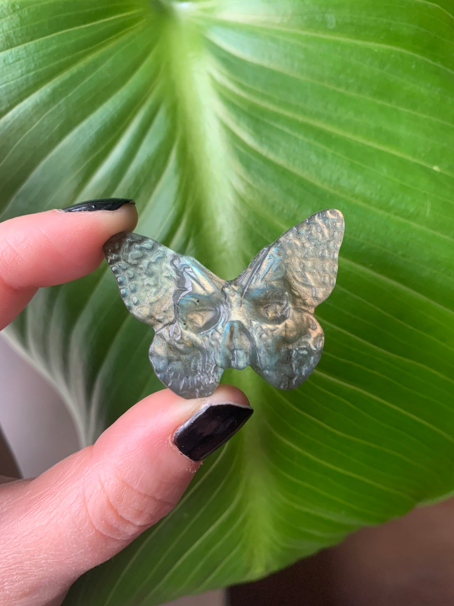 Crâne papillon labradorite 3