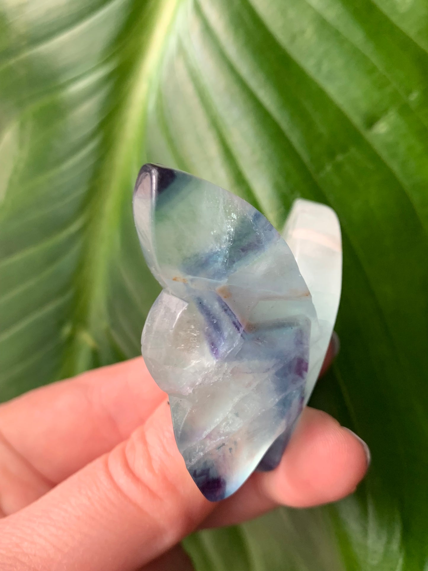 Papillon fluorite