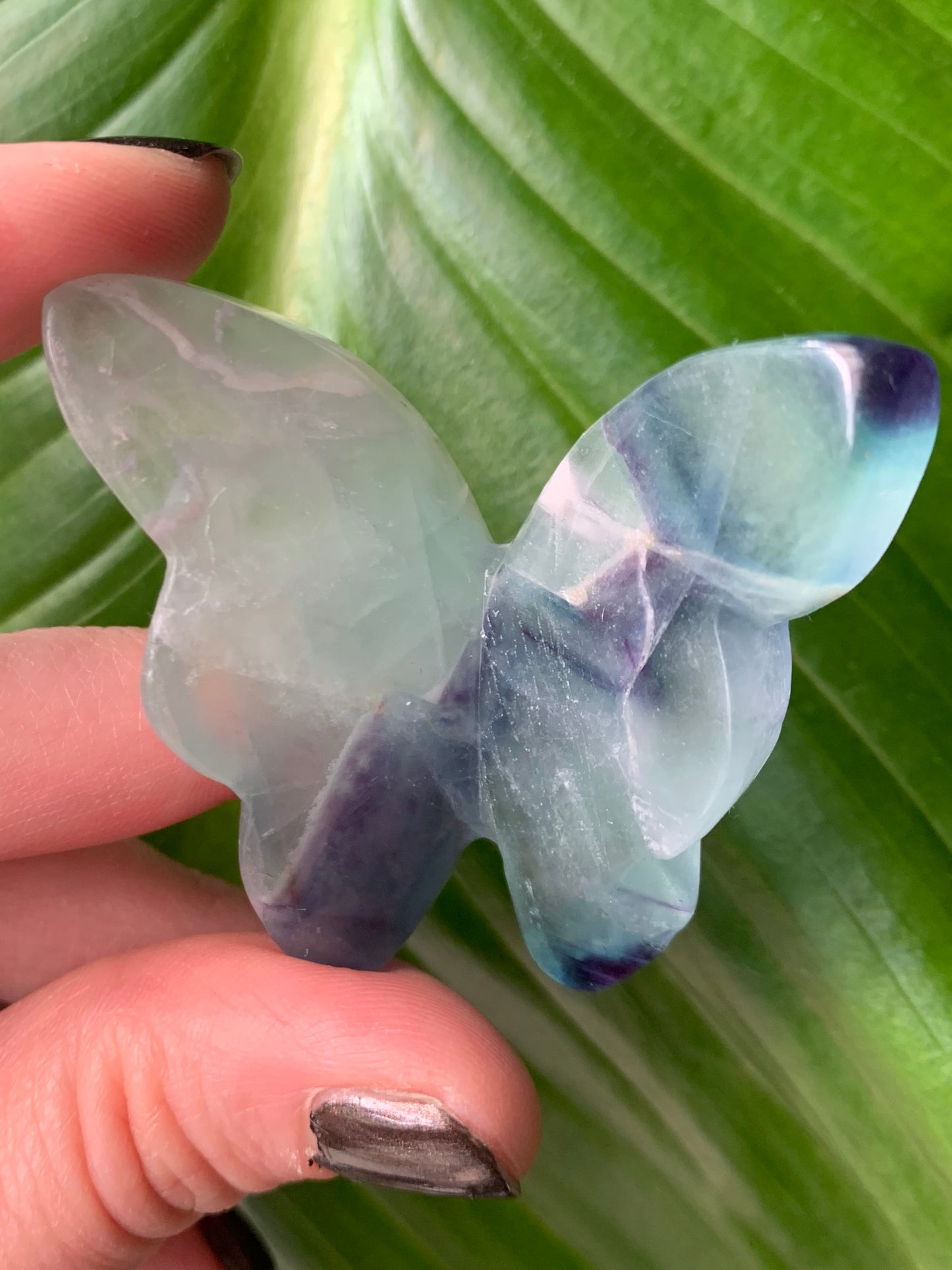 Papillon fluorite