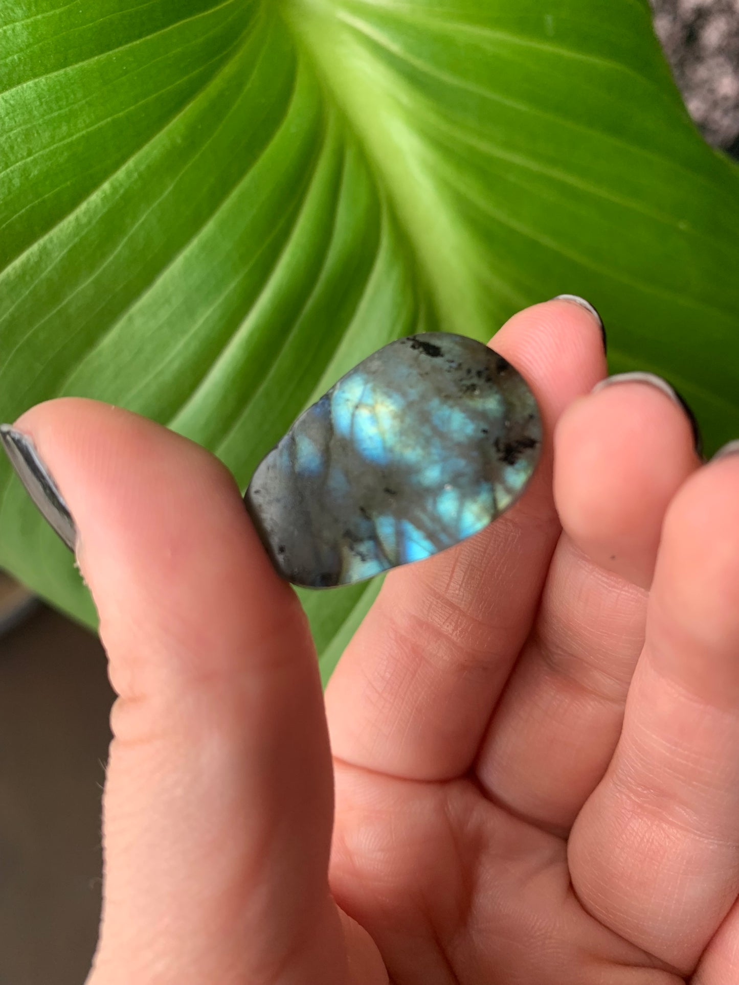 Crâne en labradorite