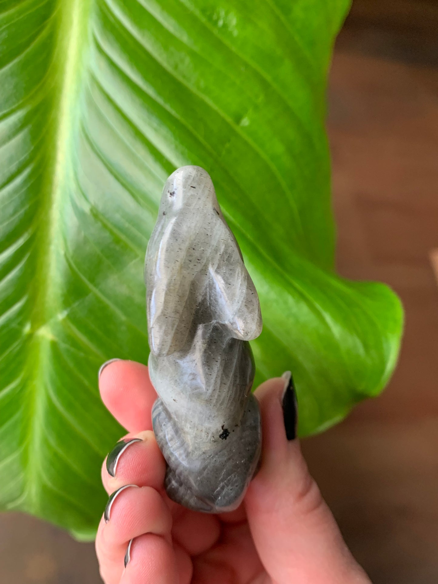 Loup en labradorite