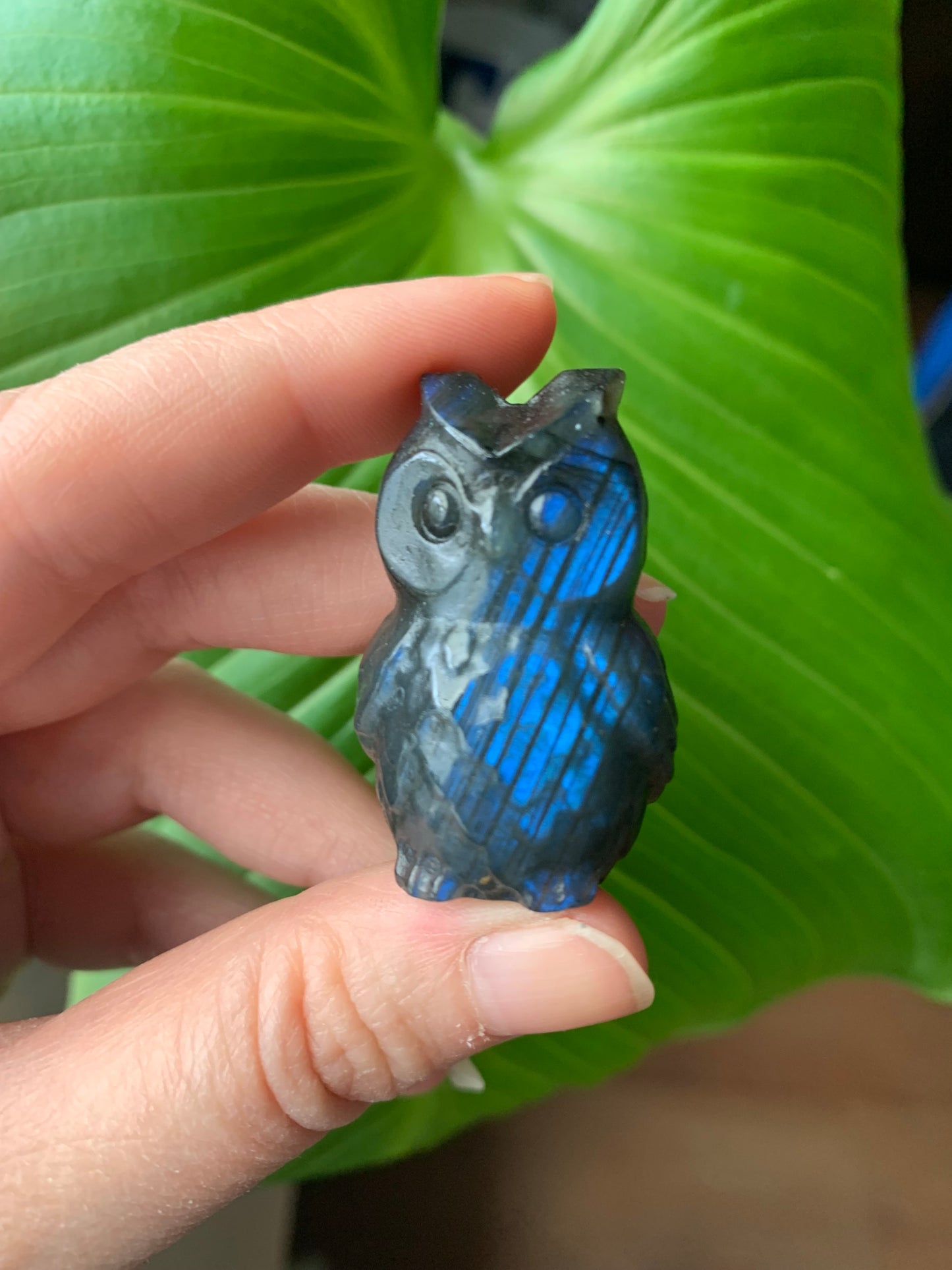 Hibou en labradorite