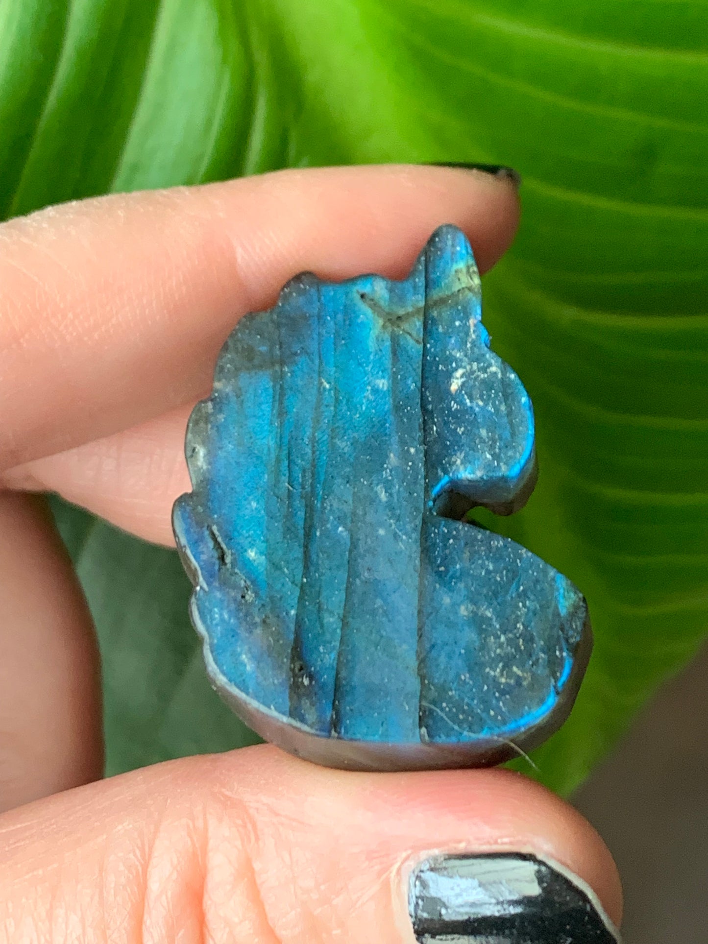 Licorne labradorite