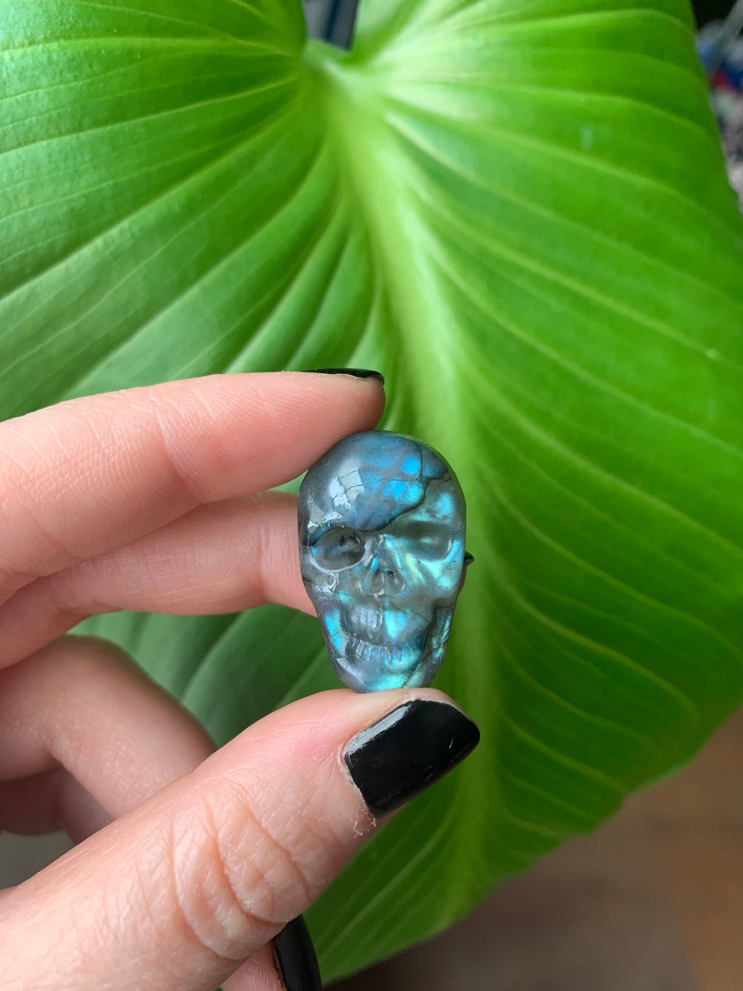 Crâne en labradorite