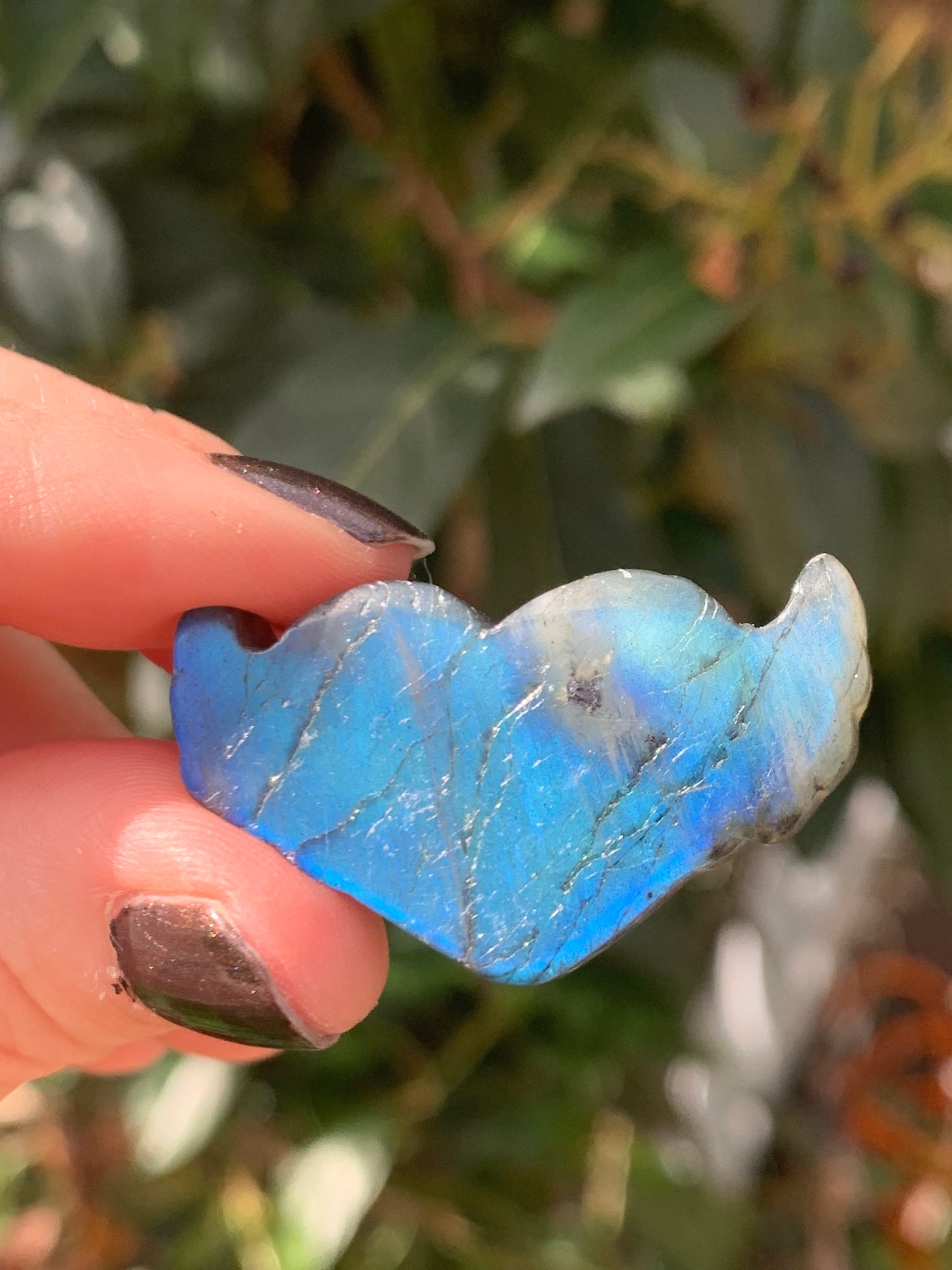 Coeur ailé en labradorite