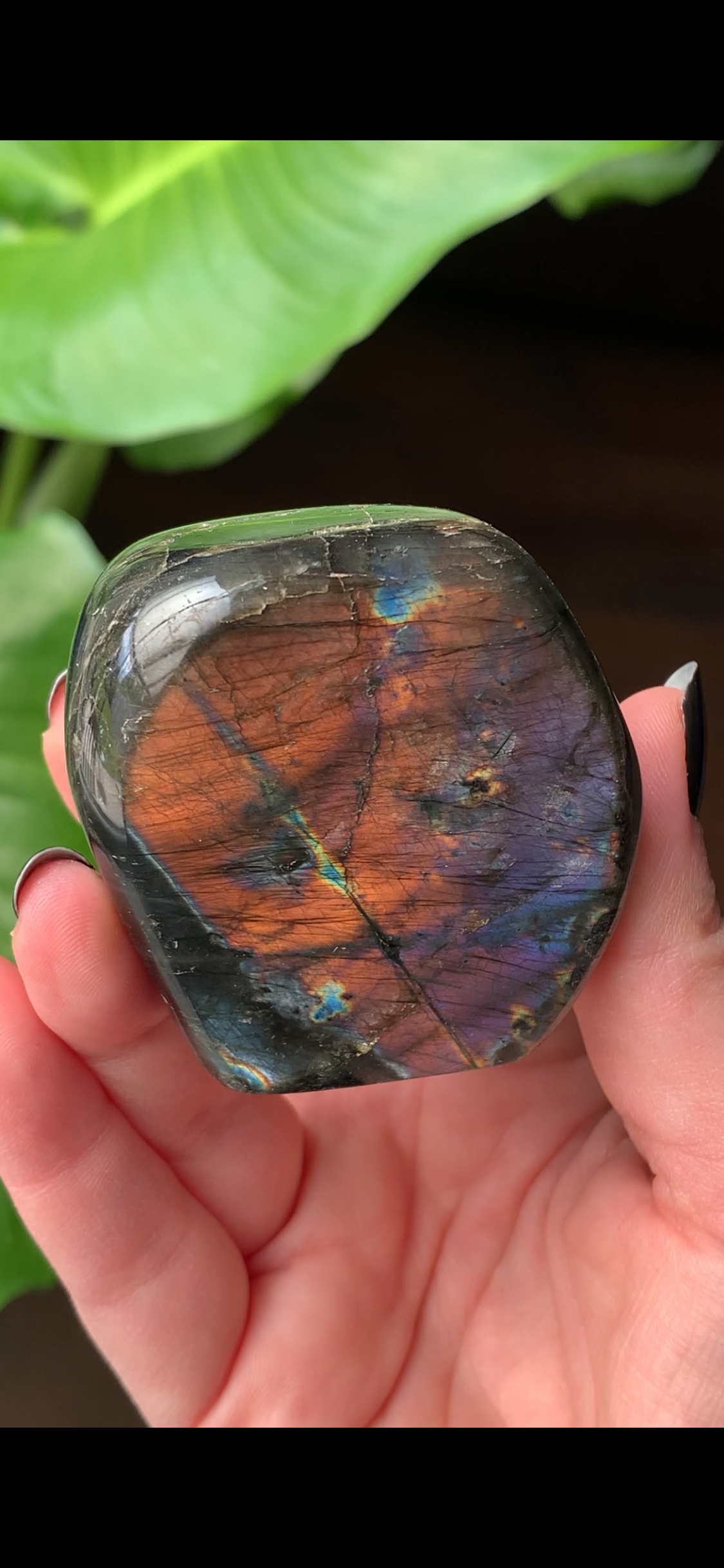 Labradorite