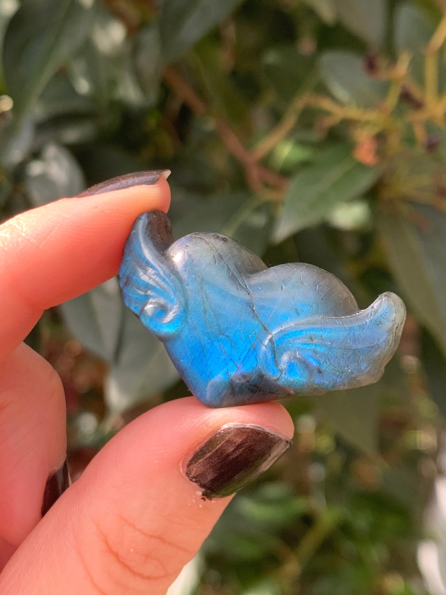 Coeur ailé en labradorite