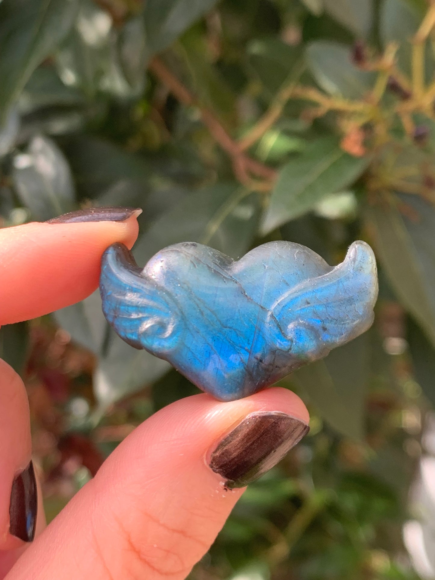 Coeur ailé en labradorite