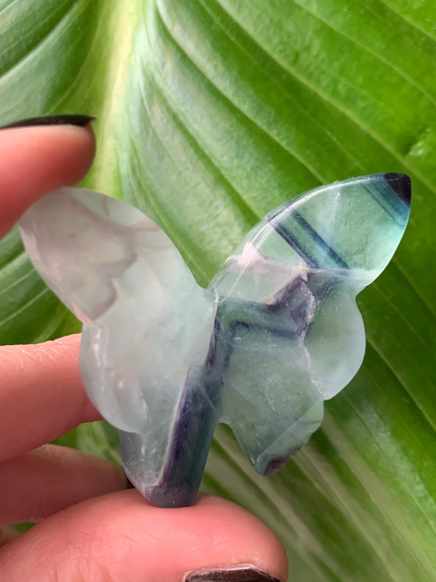 Papillon fluorite