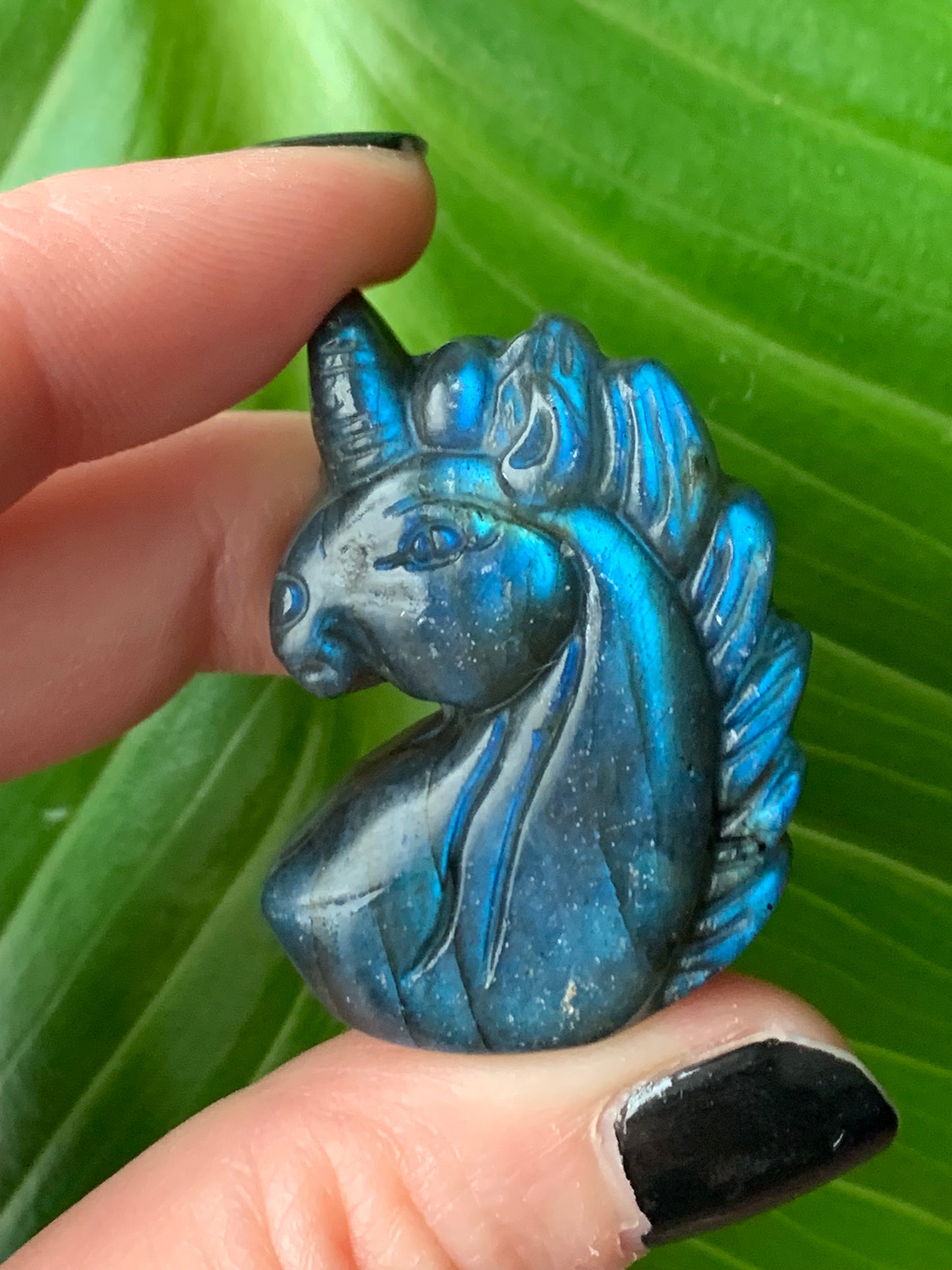 Licorne labradorite