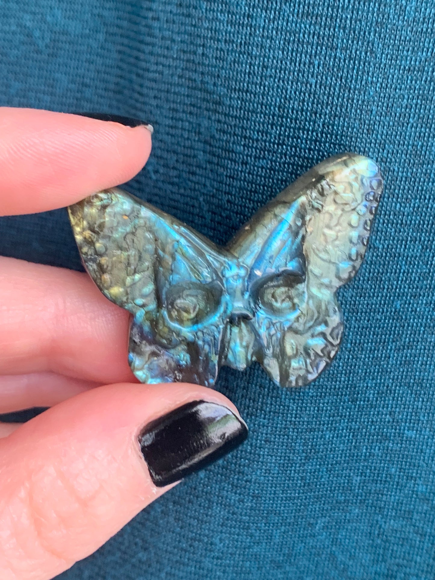 Crâne papillon labradorite 1