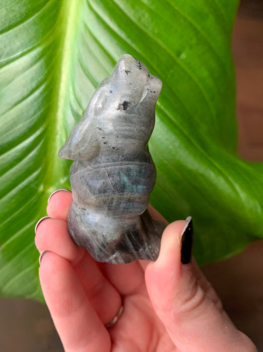 Loup en labradorite