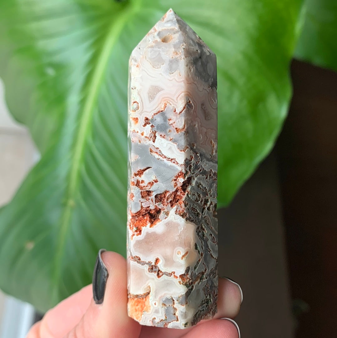 Tour Agate Crazy Lace