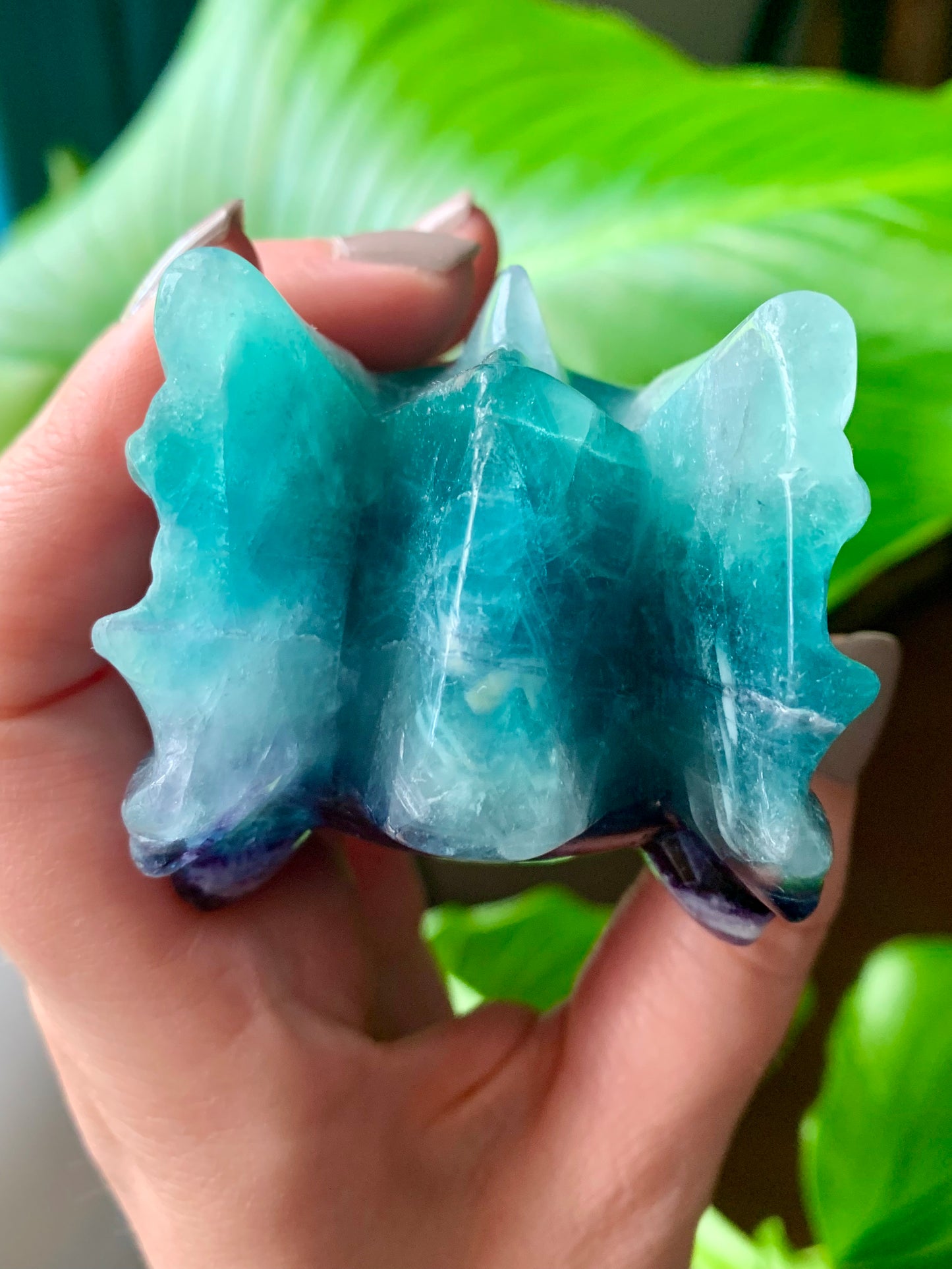 Tête dragon fluorite