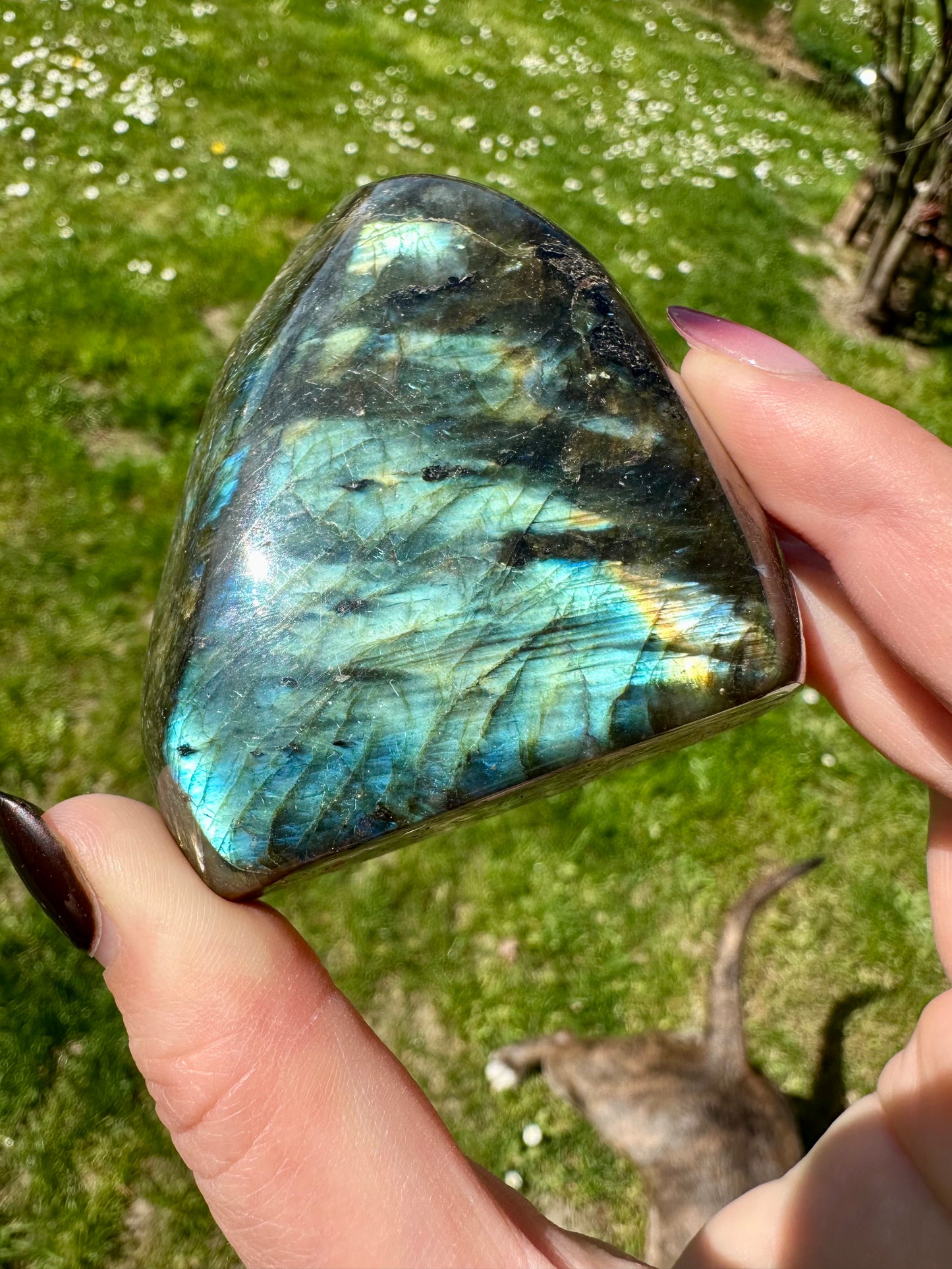 Labradorite