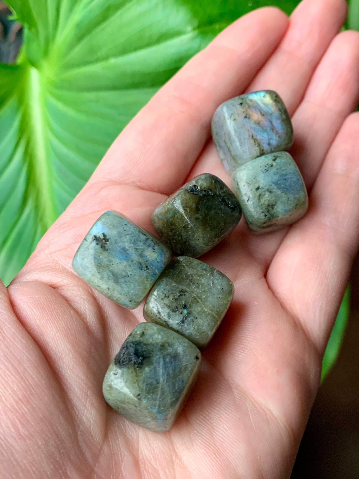 Cube labradorite