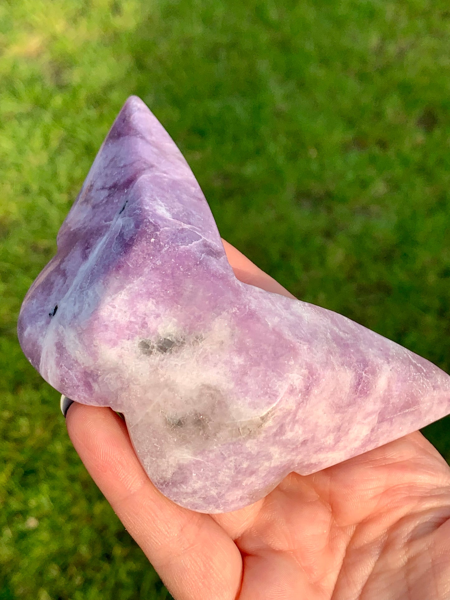 Papillon Lepidolite 2